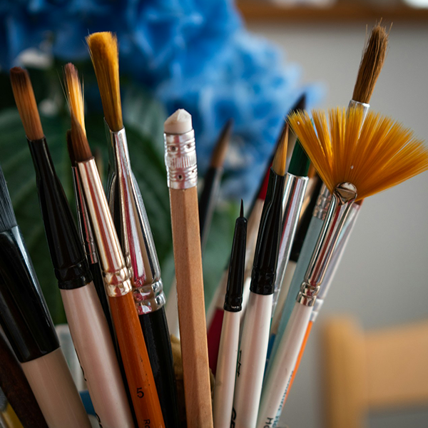 A collection of various types of brushes fanned ou